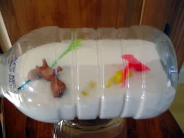 ثلاثاء بلا تليفزيون-٤